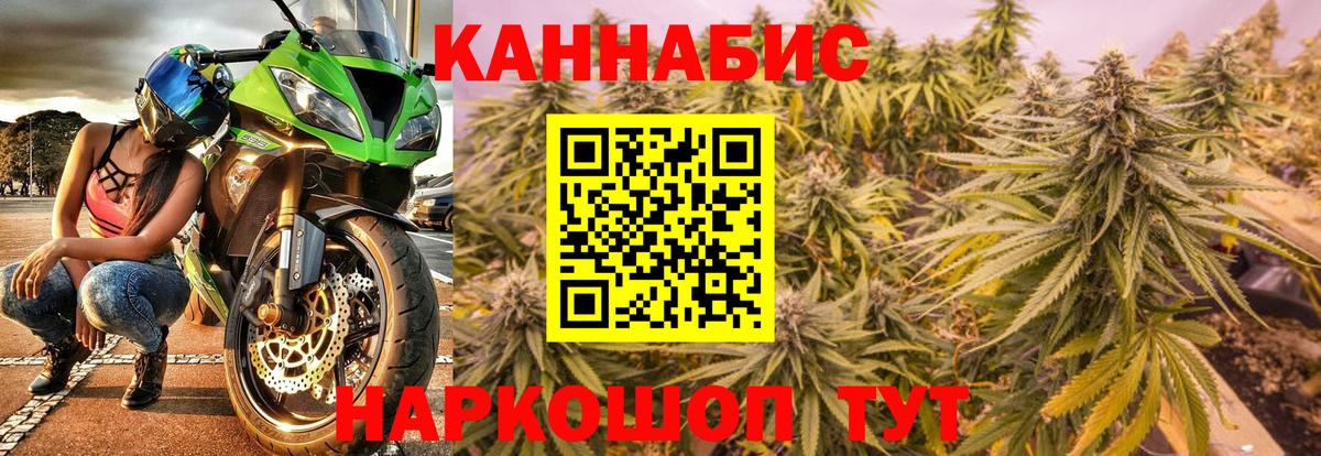 Шишки марихуана план  Марихуана гибрид  Марихуана Amnesia  Вход с VPN  Шишки марихуана план  Отрадный 