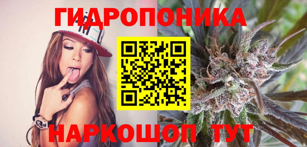 Канабис AK-47 Отрадный